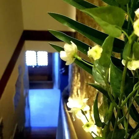 Apartment Lanterna Da Lapa *